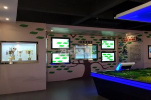 傳統校史館如何升級？多媒體科技應用帶來顛覆性觀展體驗！